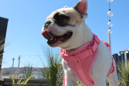 Floral Hibiscus Luxe Adjustable Dog Harness Vest Size Medium