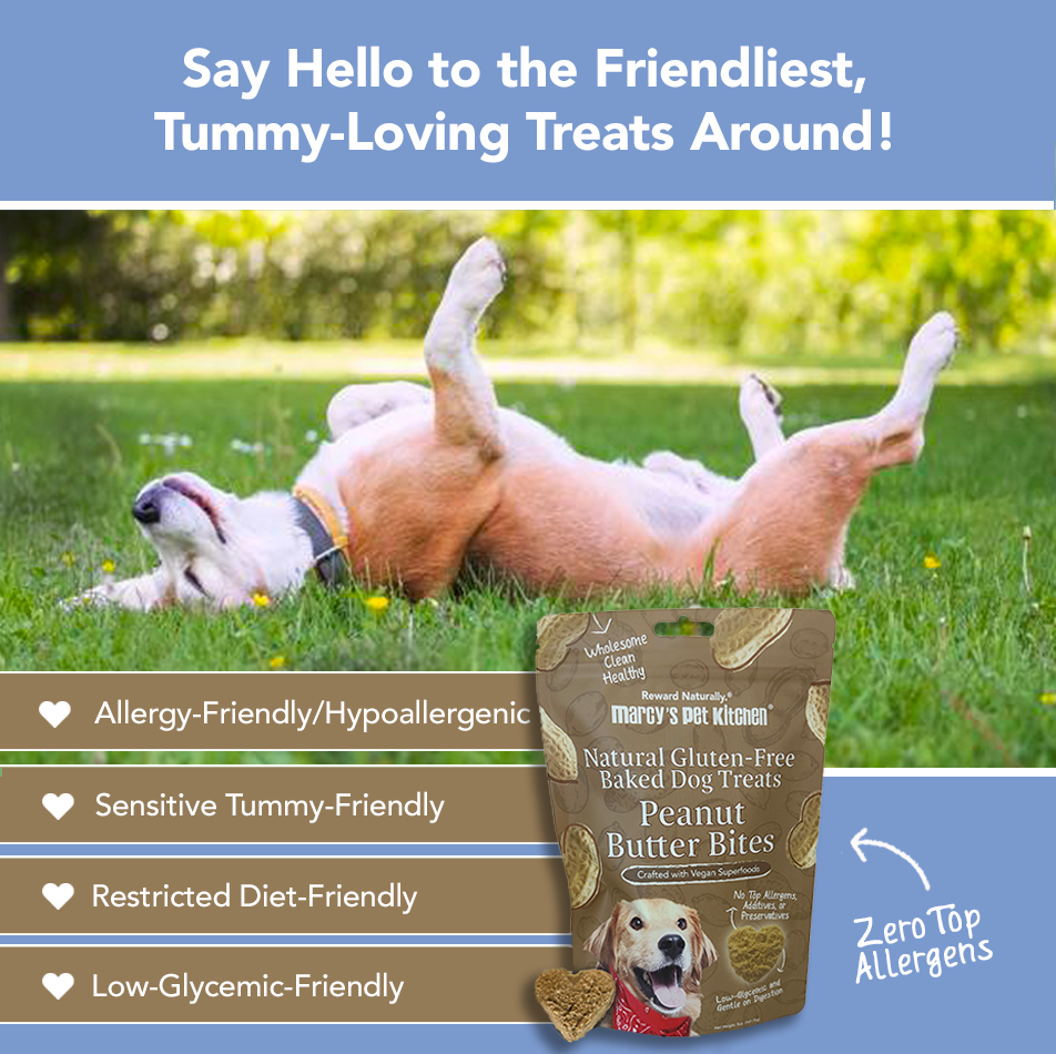 Marcy's Pet Kitchen® - 'On-The-Go' All-Natural, Vegan Peanut Butter Biscuit - Purrfect Pet Kingdom