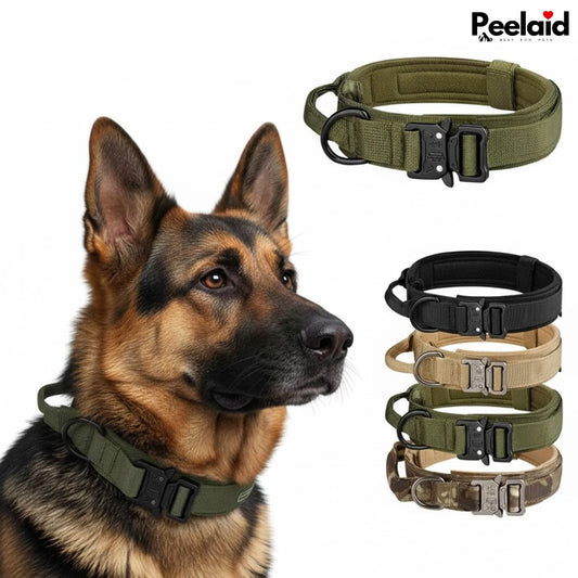 Peelaid™ Tactical Nylon Dog Collar with Metal Buckle