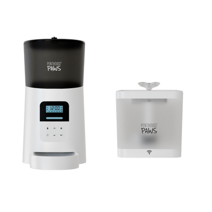 Automatic Cat Feeder & Smart Water Fountain