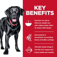 Hill's Science Diet Adult Perfect Weight & Joint Support Large Breed Dry Dog Food, Chicken Recipe Bag (25lb)