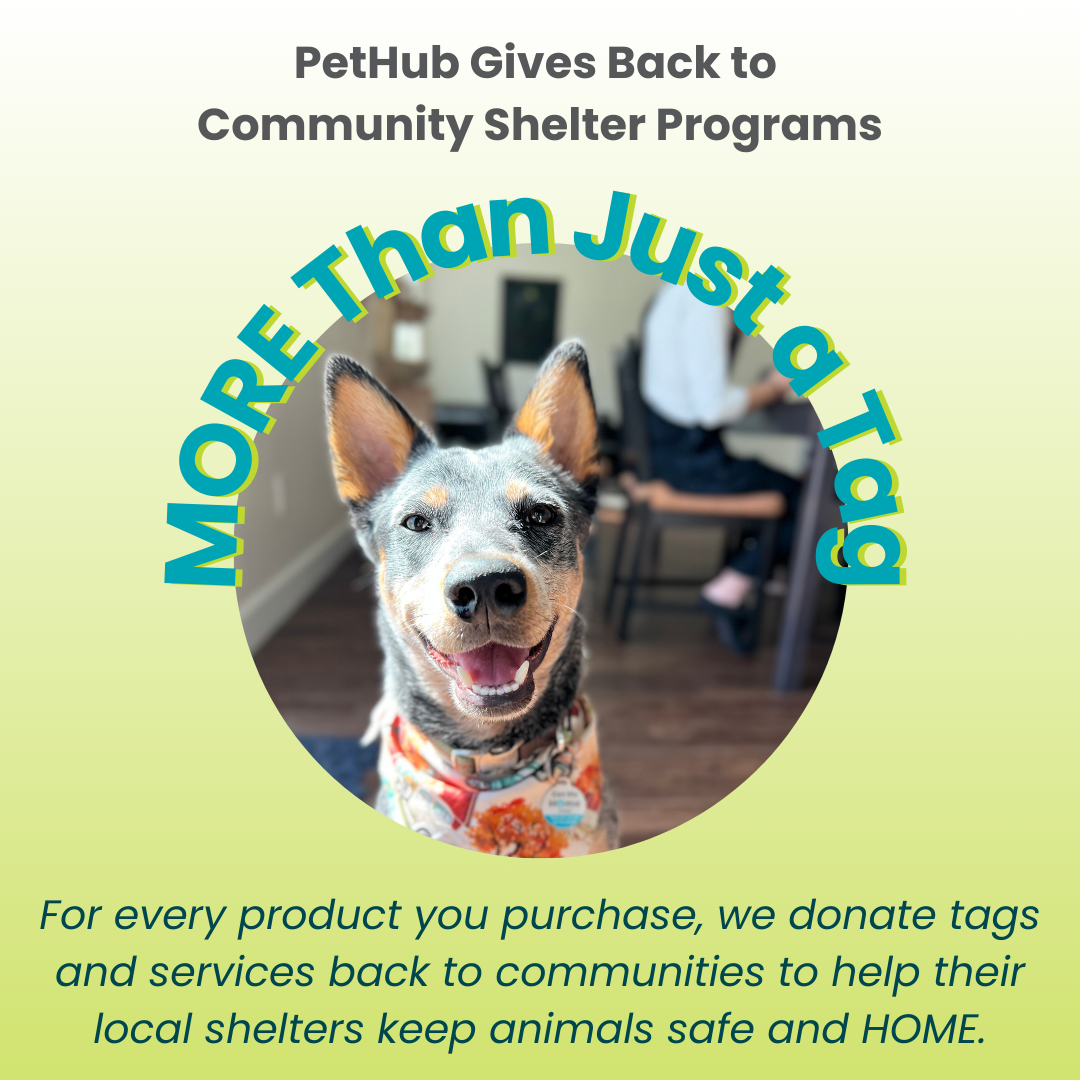 PetHub QR Pet ID Tag – Get Me Home Club