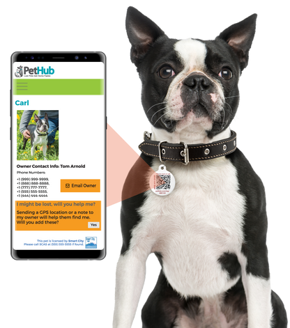 PetHub QR Pet ID Tag – Absent Without a Leash (AWOL)