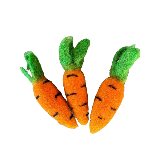 FELTED CAT TOY CARROTS - FUN STUFF! - ReNewedPet