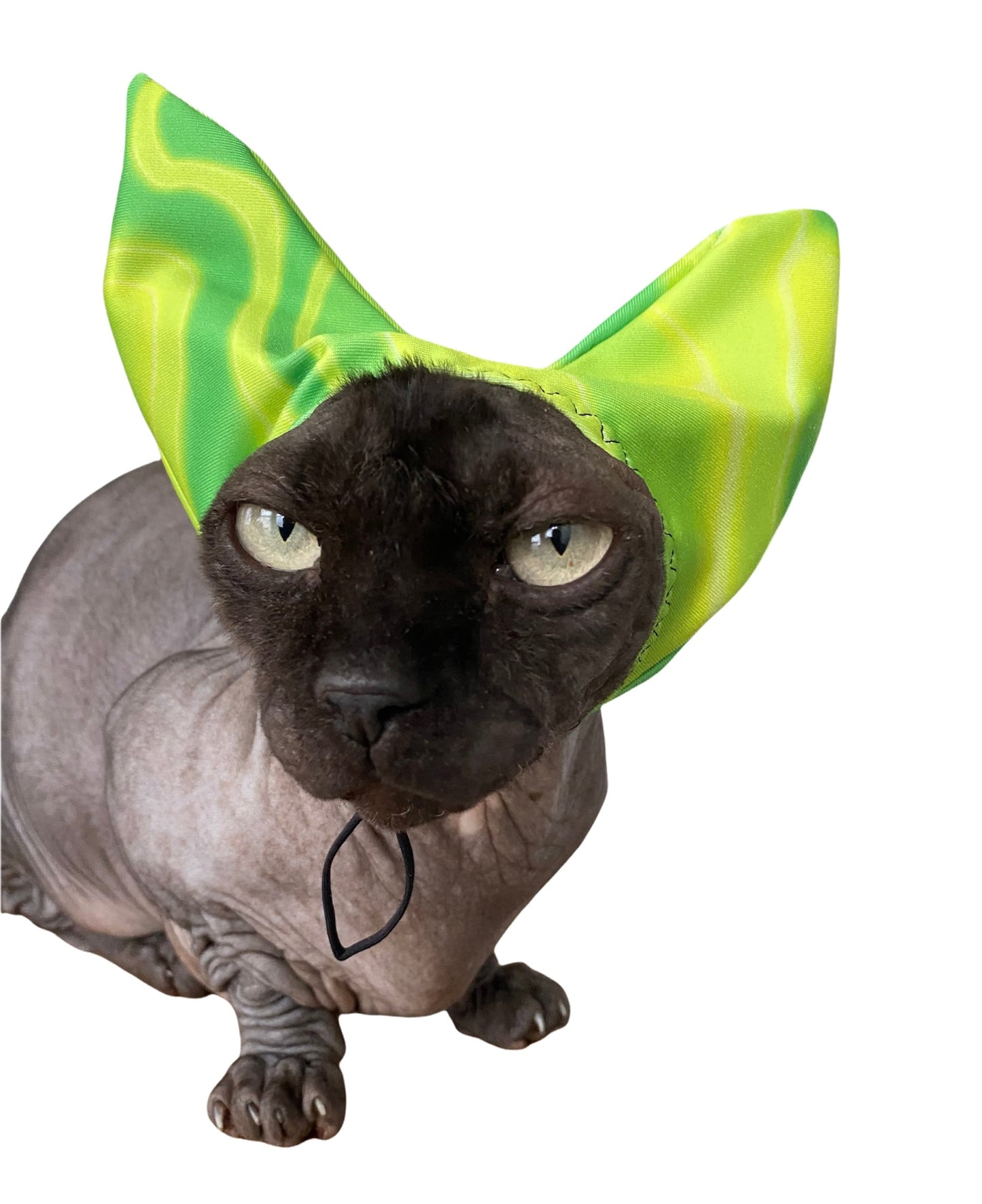 4 - ALL PETS SHOWER / EAR / SUN CAP! - Pet Grooming - ReNewedPet