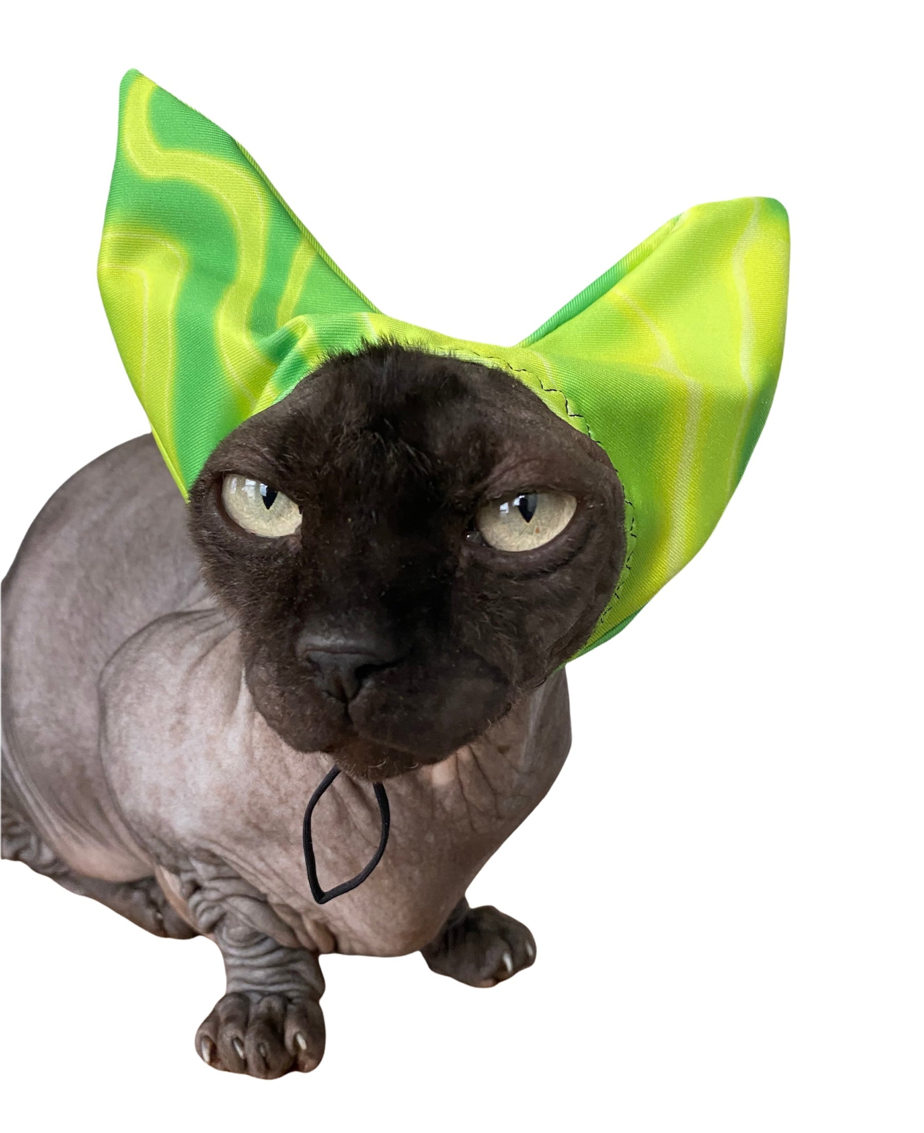 4 - ALL PETS SHOWER / EAR / SUN CAP! - Pet Grooming - ReNewedPet