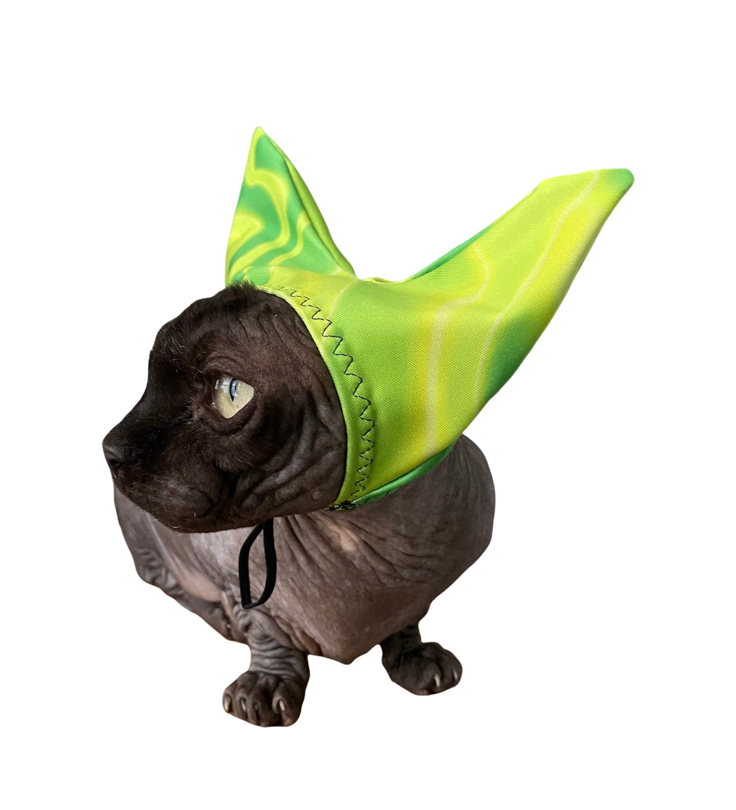 4 - ALL PETS SHOWER / EAR / SUN CAP! - Pet Grooming - ReNewedPet