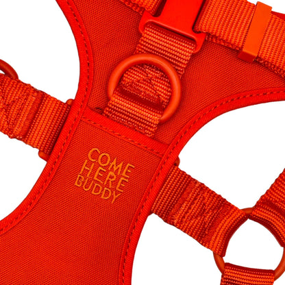 Step In Dog Harness - Dog Harness - Come Here Buddy