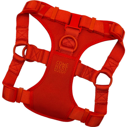 Step In Dog Harness - Dog Harness - Come Here Buddy - Small - Orange - STE/SMA/ORA