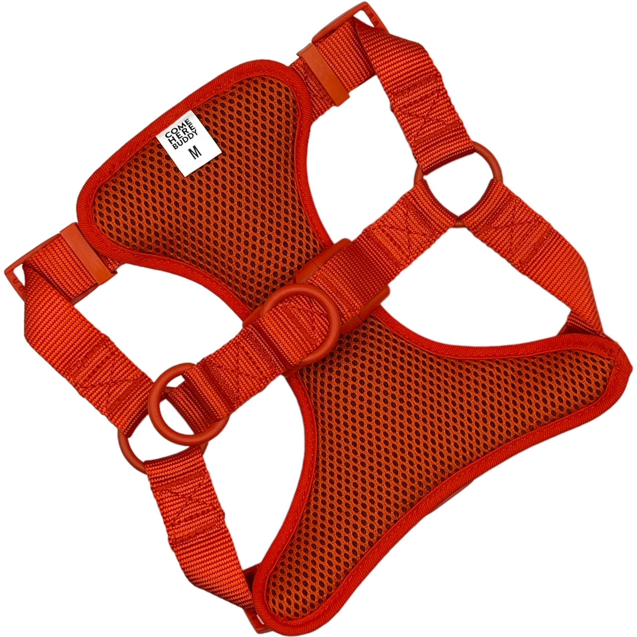 Step In Dog Harness - Dog Harness - Come Here Buddy