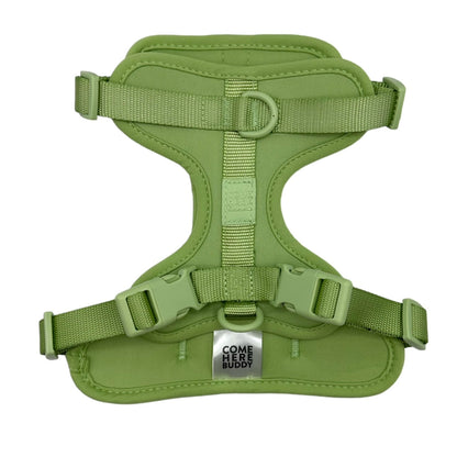 Harness - Pet Collars & Harnesses - Come Here Buddy