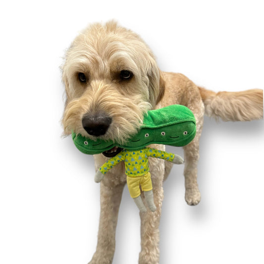 Pea Nose Work Dog Toy - Purrfect Pet Kingdom