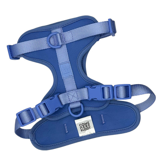 Harness - Pet Collars & Harnesses - Come Here Buddy - Extra Small - Peri - sku - 44589156761826