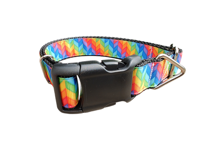 Rainbow Rays Nylon Dog Collar