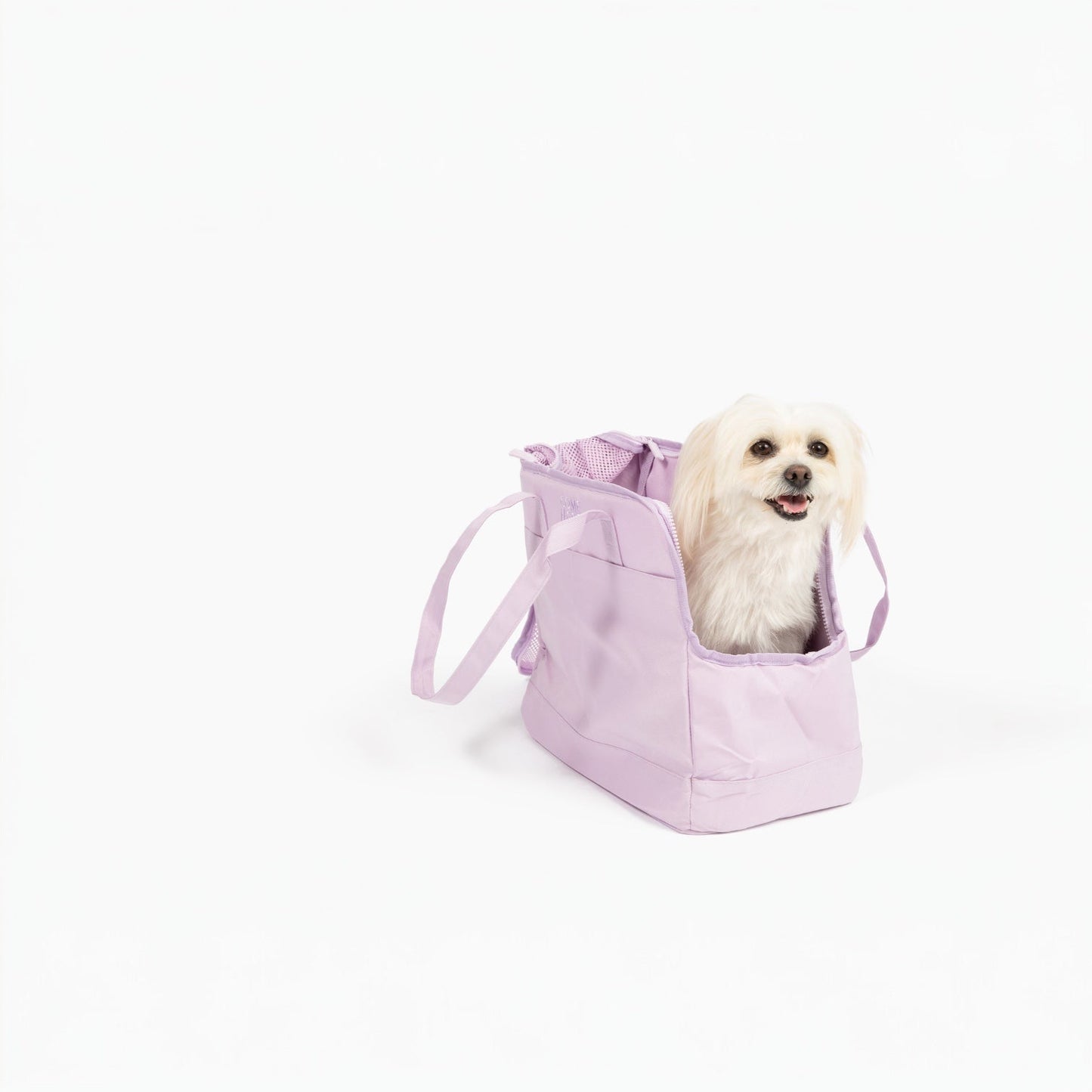 Come Here Buddy Pet Tote Bag - Pet Carrier - Come Here Buddy