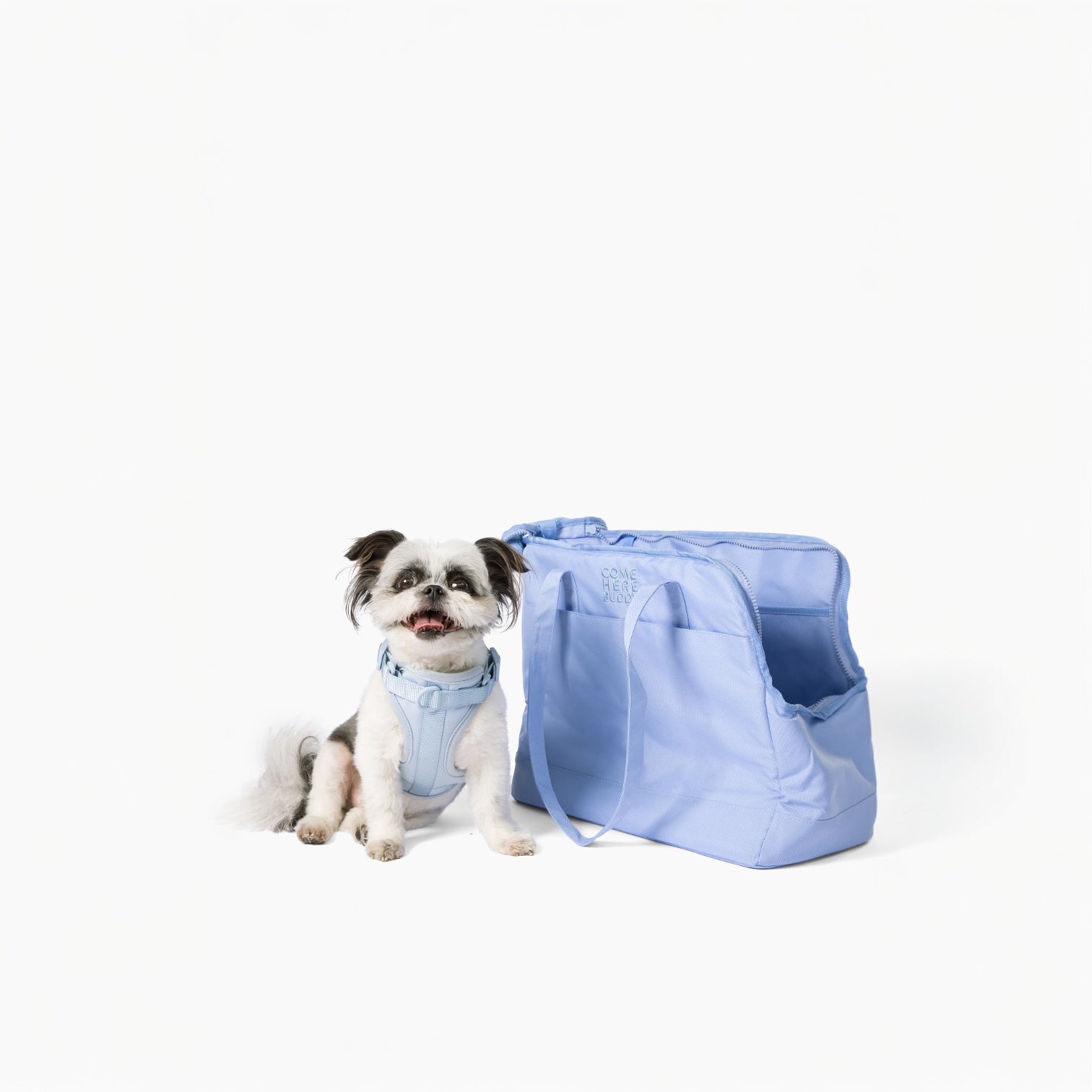 Come Here Buddy Pet Tote Bag - Pet Carrier - Come Here Buddy