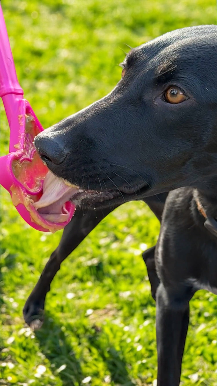 eStick Hand-Held Dog Enrichment Toy - Interactive Lick Stick |