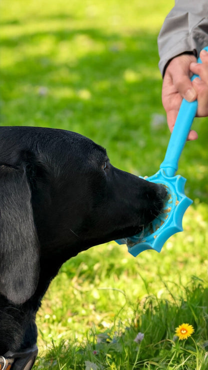 eStick Hand-Held Dog Enrichment Toy - Interactive Lick Stick