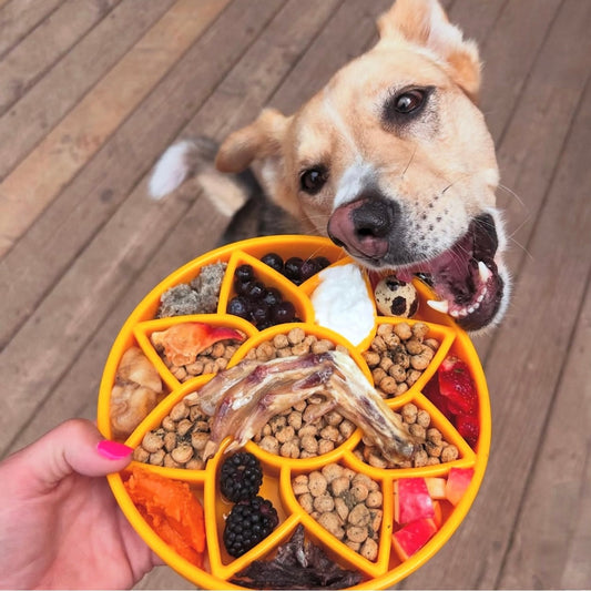 Purrfect Kingdom™ - Sunflower Etray Slow Feeder
