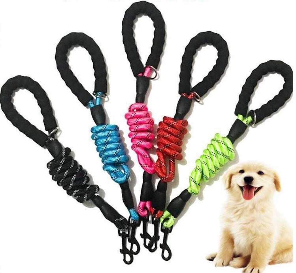 6 Ft Dog Leash For Large And Medium Dogs-Blue Set Of 5