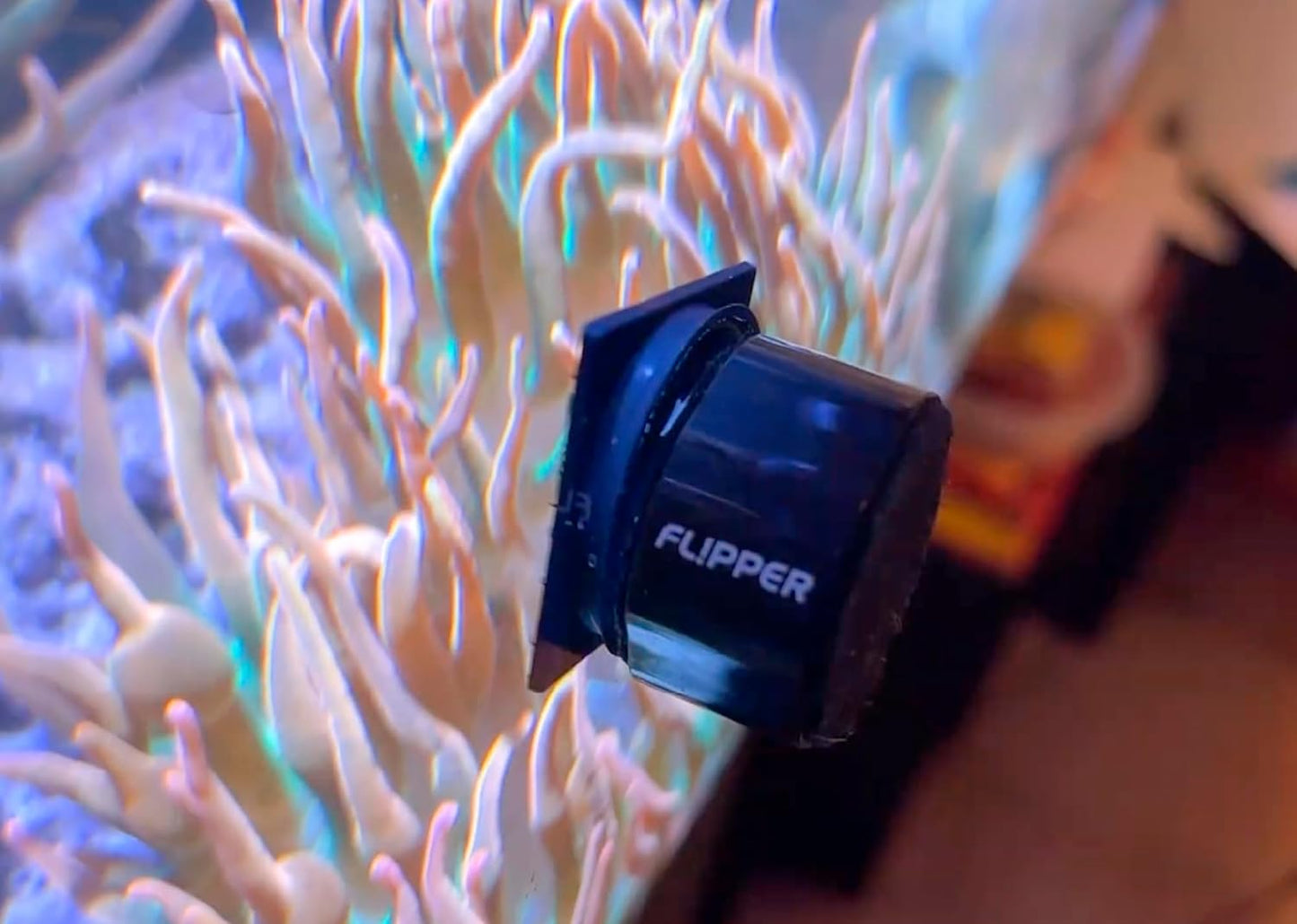 Scraper Blades – Flipper Pico 4-Pack Magnet Cleaner Refill