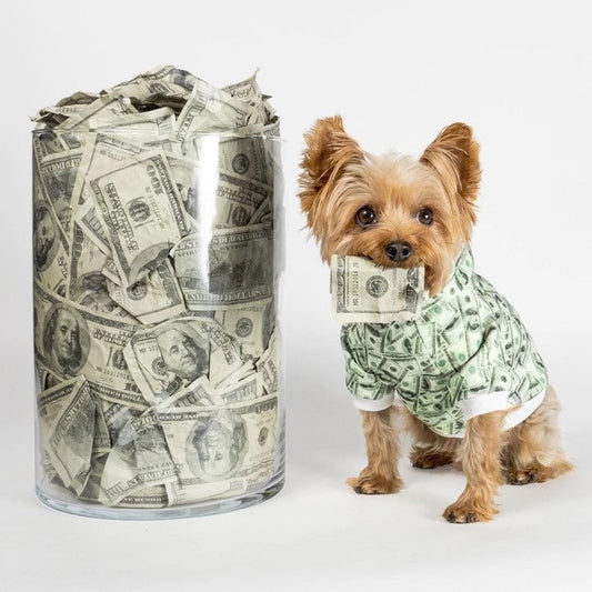 Dog Hoodie Money Print Funny Pet Clothes 💵