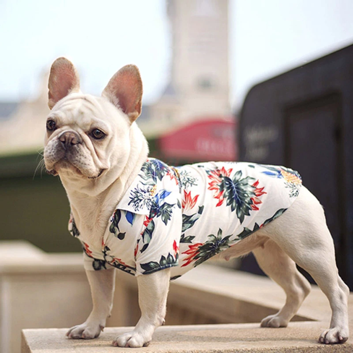 Hawaiian Pet Shirts - Purrfect Pet Kingdom