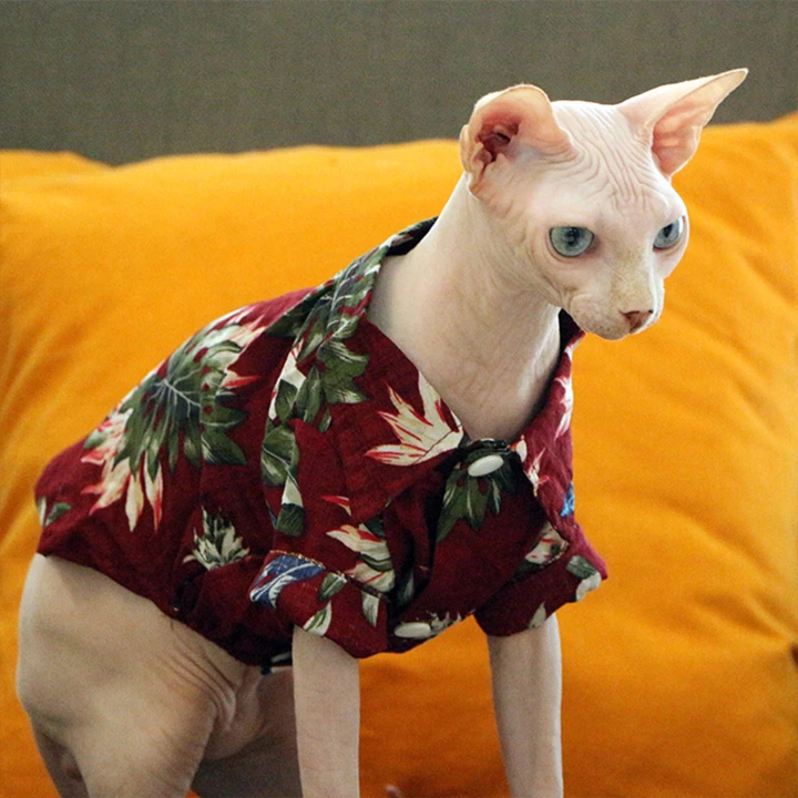 Hawaiian Pet Shirts - Purrfect Pet Kingdom