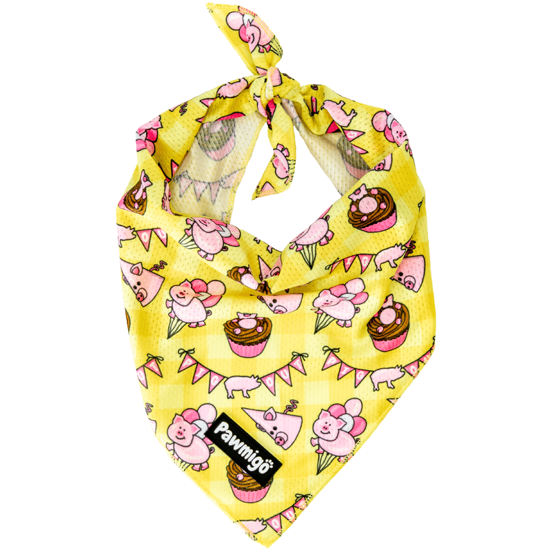 Pig Out Bandana - Dog Bandana - Pawmigo