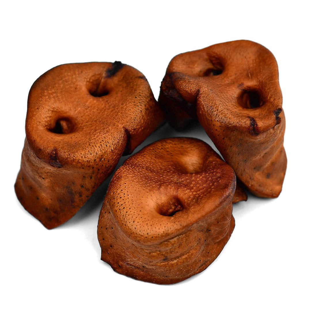 Pork Snouts - 6 Pcs - Purrfect Pet Kingdom