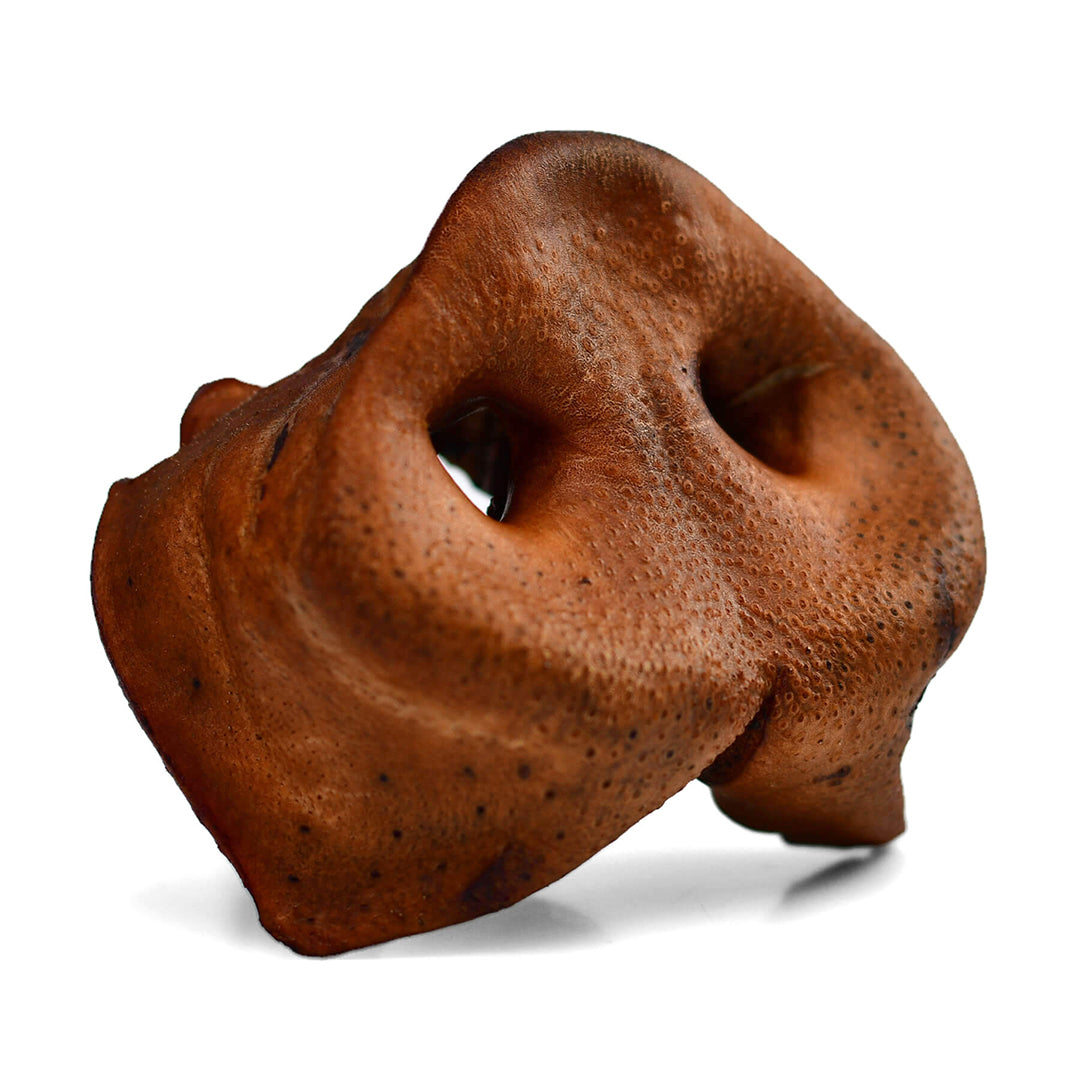 Pork Snouts - 6 Pcs - Purrfect Pet Kingdom