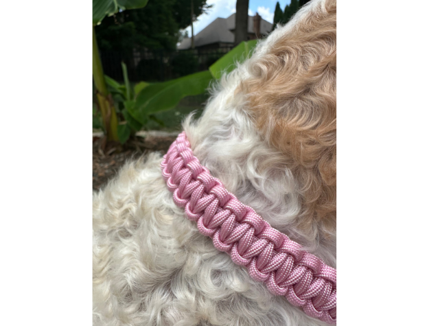 Cobra Braid in Pink & White Stripes - Handmade Dog Collar