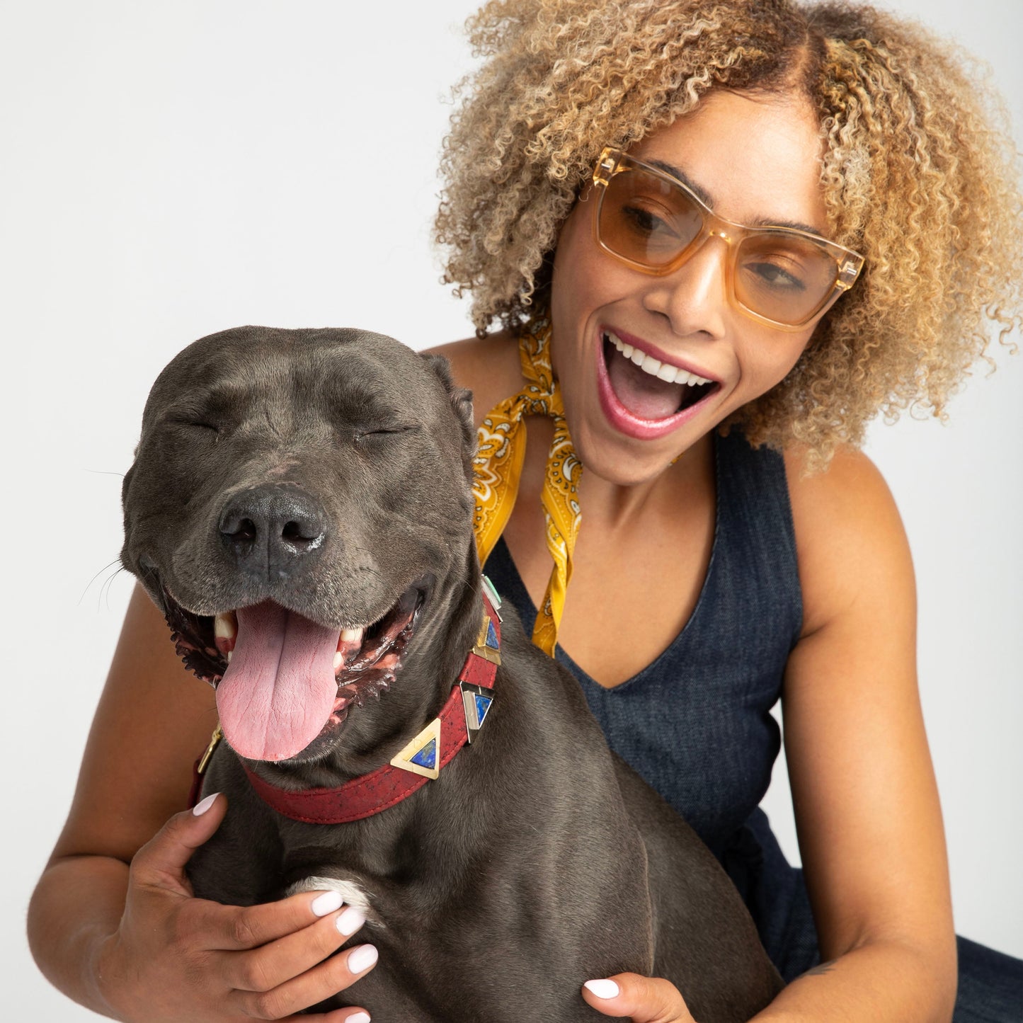 Ruby Red Cork Leather Collar - Purrfect Pet Kingdom