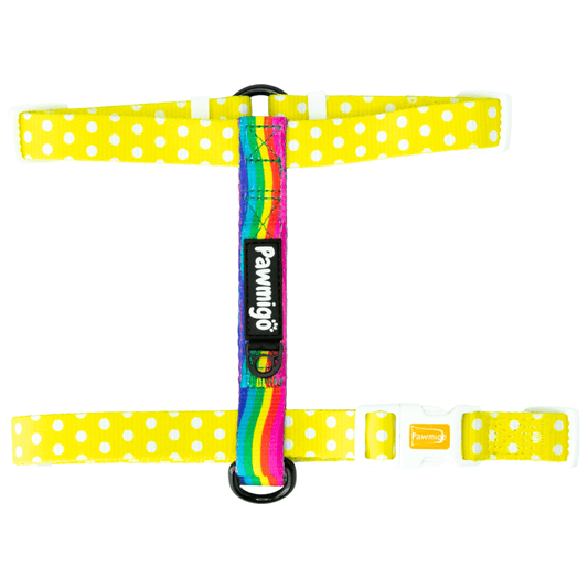 Pool Pawty Free - Fit Harness - Free - Fit Harness - Pawmigo