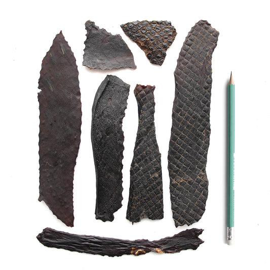 Super Foods Porky Liver Fillets 6oz - Purrfect Pet Kingdom