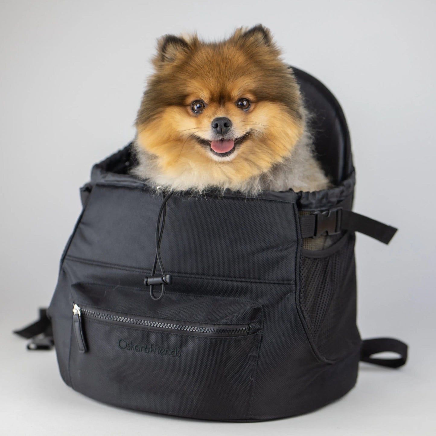 Pet Backpack Premium All-Black Travel Carrier
