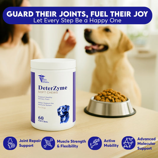 DeterZyme Stool Eating Deterrent for Dogs – 60 Soft Chews – Helps Discourage Stool Consumption – with Digestive Enzymes, Prebiotics, and Natural Herbal Blend – Supports Gut Health & Breath Freshening - Horizon Animal Care