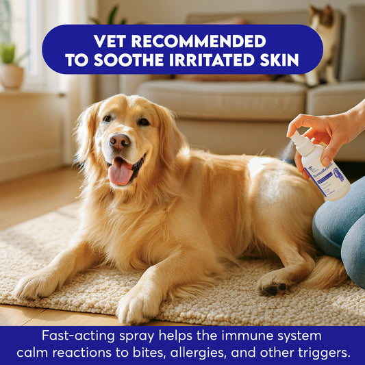 Hydrocortisone Quick Relief Spray for Dogs, Cats & Horses – 4 oz – Supports Minor Skin Irritation Relief – Gentle, Fast - Absorbing Formula – Pet Care Spray for Itchy, Irritated Skin - Horizon Animal Care