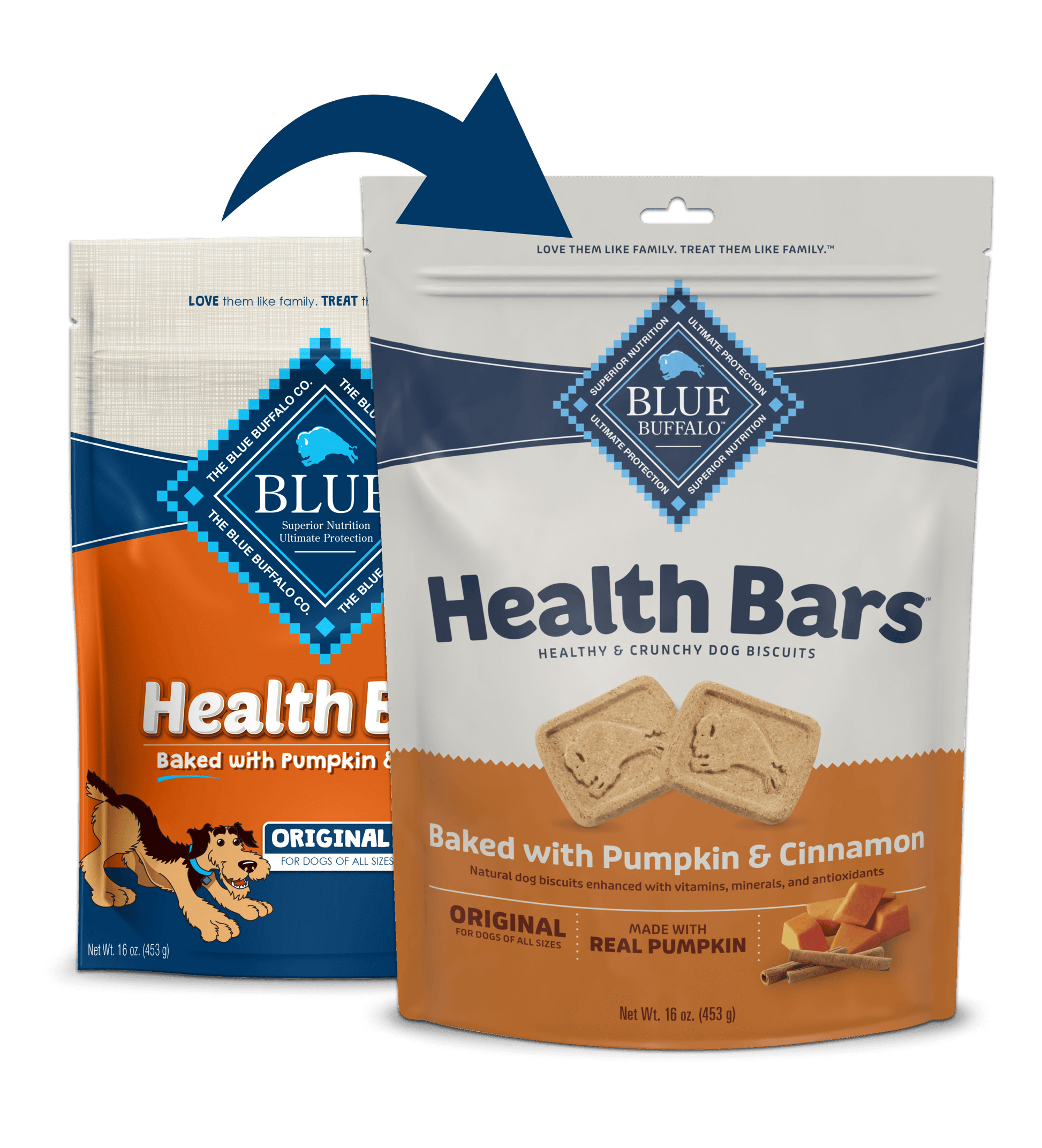 Blue Buffalo Blue Health Bar Crunchy Dog Biscuits Baked with Pumpkin and Cinnamon (16oz) - Blue Buffalo Crunchy Dog Treats - The Family Pet