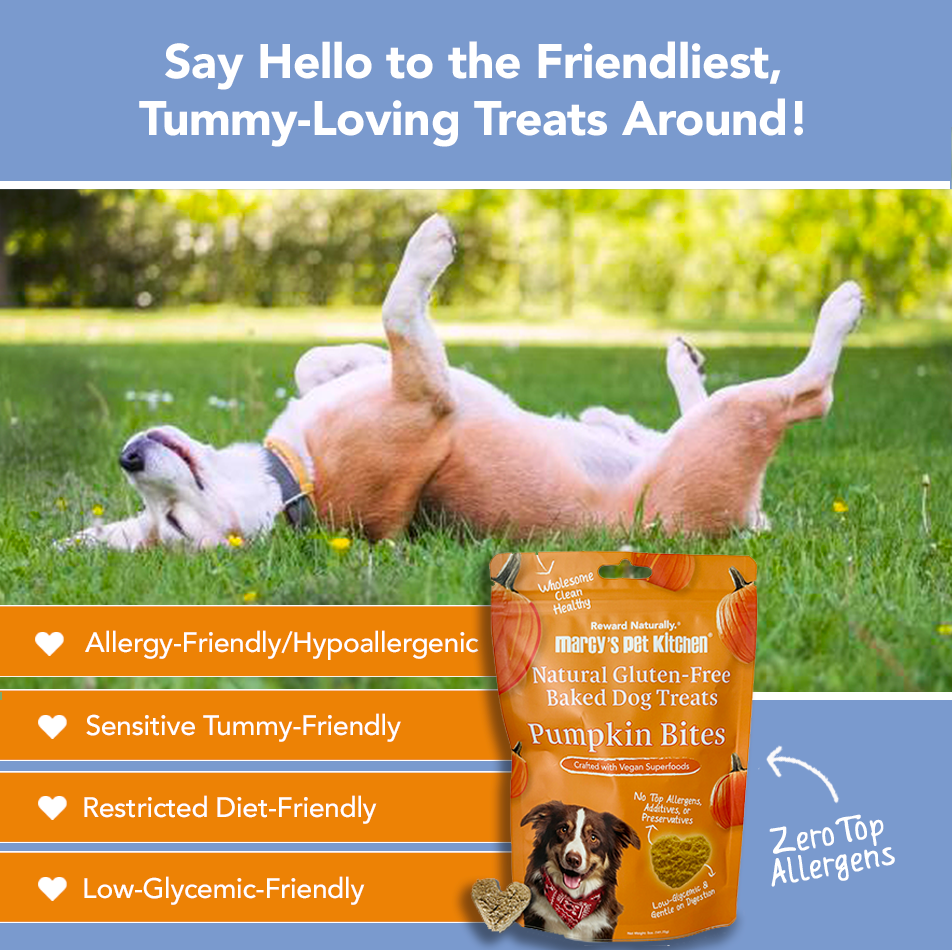 Marcy's Pet Kitchen- All Natural, Vegan Pumpkin Biscuit Dog Treats - Homemade-Vet Approved- Vegan, Gluten Free, Human Grade Ingredients, Made in The USA, Healthy Pumpkin Dog Treats - Purrfect Pet Kingdom