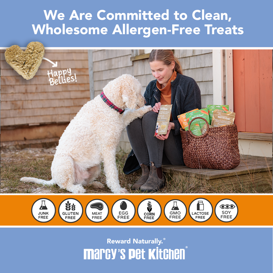 Marcy's Vegan Pumpkin Dog Biscuits 5oz 🎃