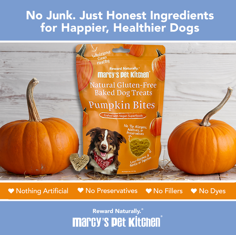 Marcy's Pet Kitchen- All Natural, Vegan Pumpkin Biscuit Dog Treats - Homemade-Vet Approved- Vegan, Gluten Free, Human Grade Ingredients, Made in The USA, Healthy Pumpkin Dog Treats - Purrfect Pet Kingdom