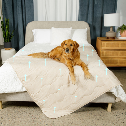 Pupchill Cooling Waterproof Blanket Arctic Sand Washable - main product image