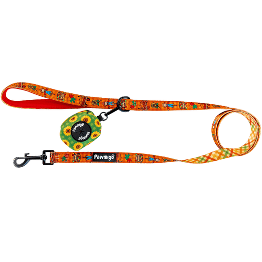 Pupkin Patch Leash Kit - Leash Kit - Pawmigo