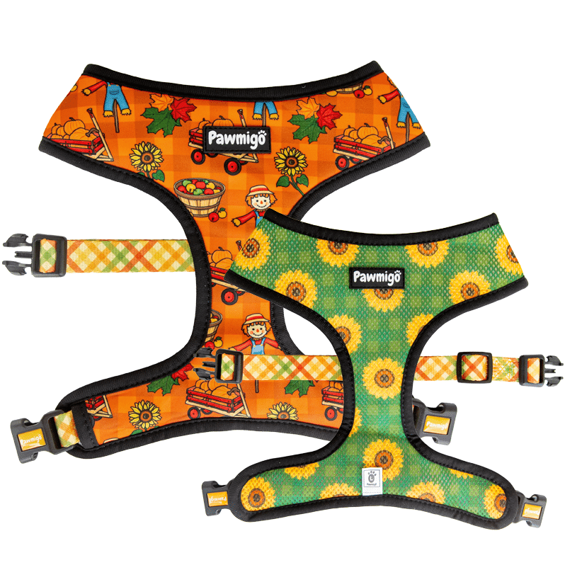 Pupkin Patch Reversible Harness - Reversible Harness - Pawmigo - XS - FA19 - PKP - RH - XS