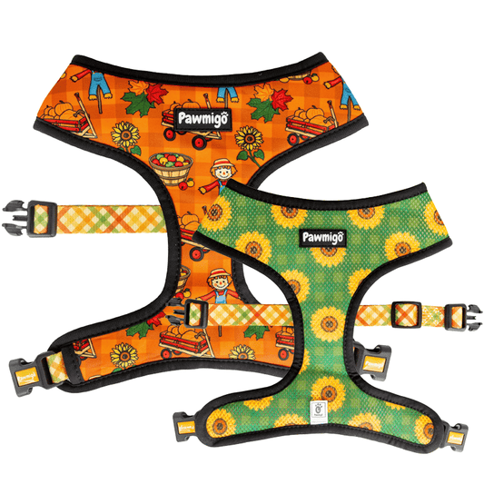 Pupkin Patch Reversible Harness - Reversible Harness - Pawmigo - XS - FA19 - PKP - RH - XS