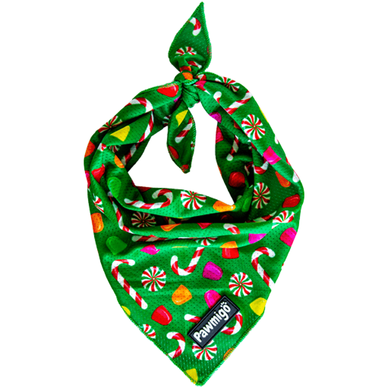 Puppermint Cooling Bandana - Dog Bandana - Pawmigo