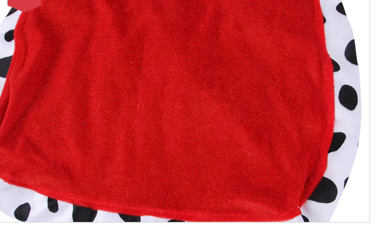 Pet King Cape Accessory Set for Dog - Mimarta