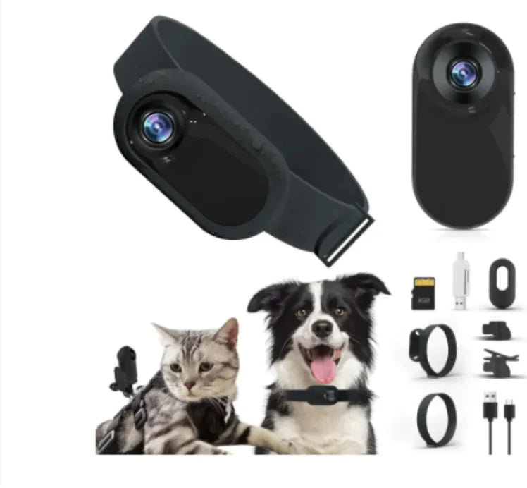 Paw Cam Wireless Pet Collar - Ameraeon