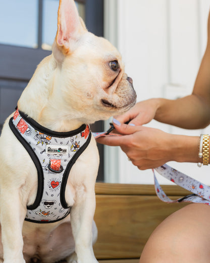 Purrfect Pet Kingdom The Modern Dog Company - Bad to the Bone Harness (Small) - Premium Product